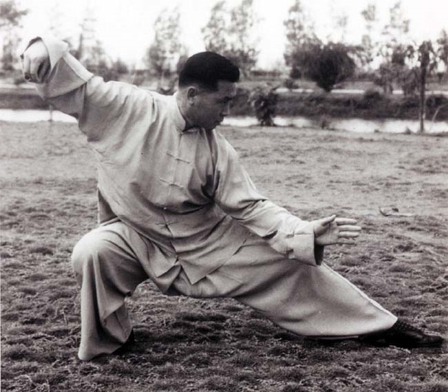 tung-hu-ling-single-whip-low-posture